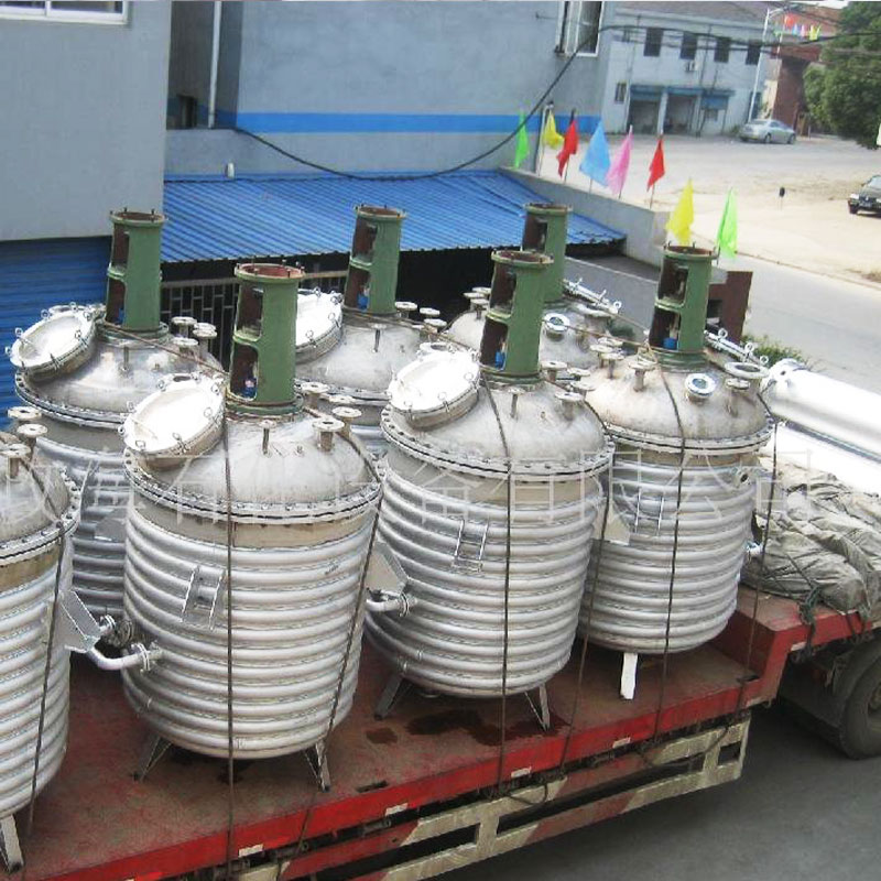 Reaction kettle with external pipe